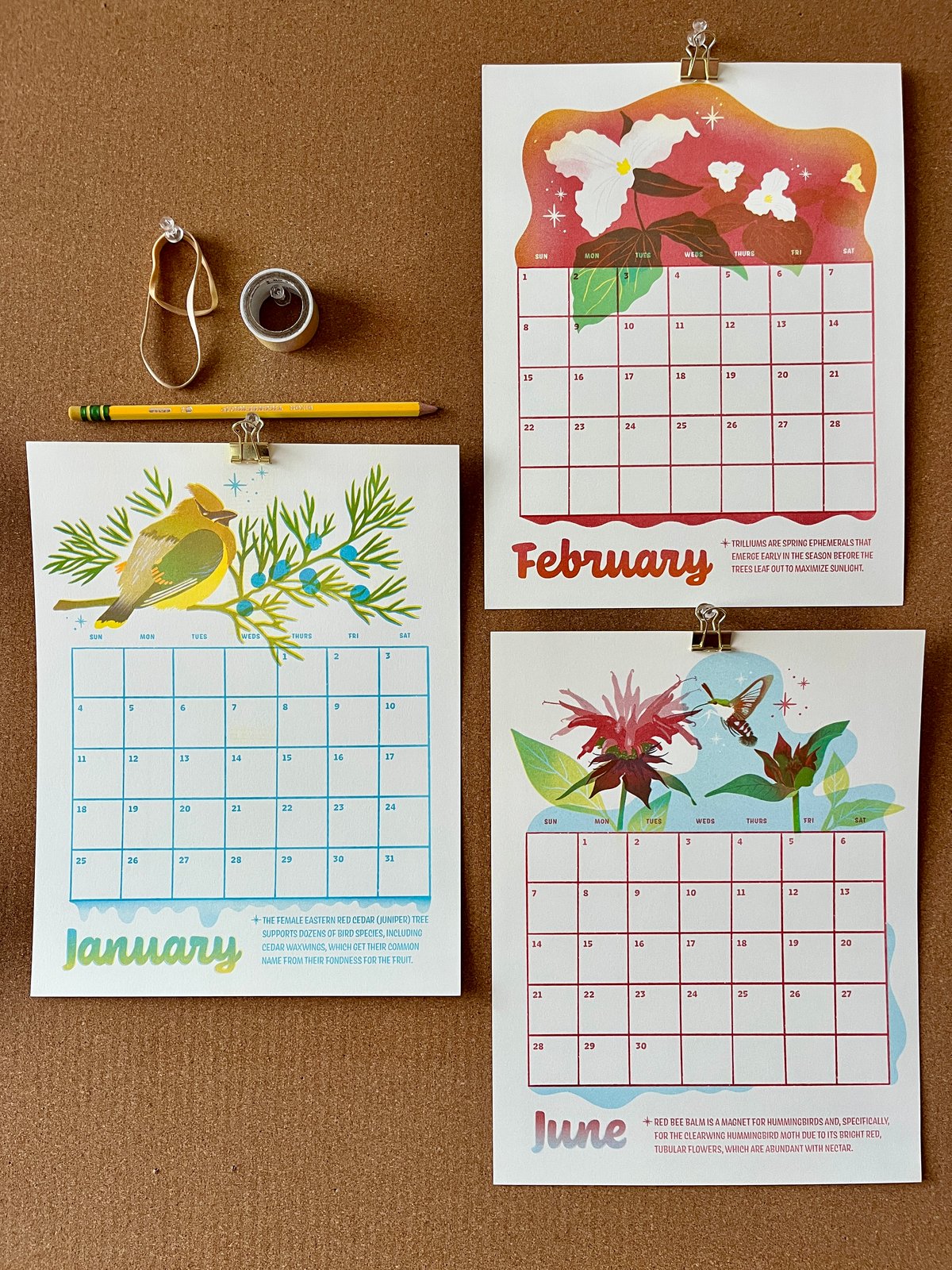 2026 Risograph Calendar | kimperly